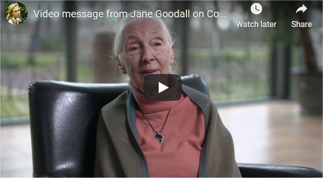 A video message from Jane Goodall